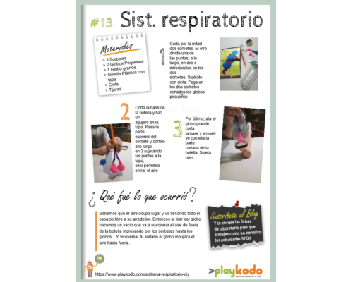 Ficha STEM “Sist. Respiratorio DIY”